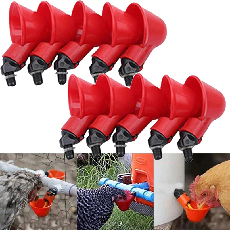 💥Last Day 50% Off--🔥Automatic Chicken Water Cup Bird Coop