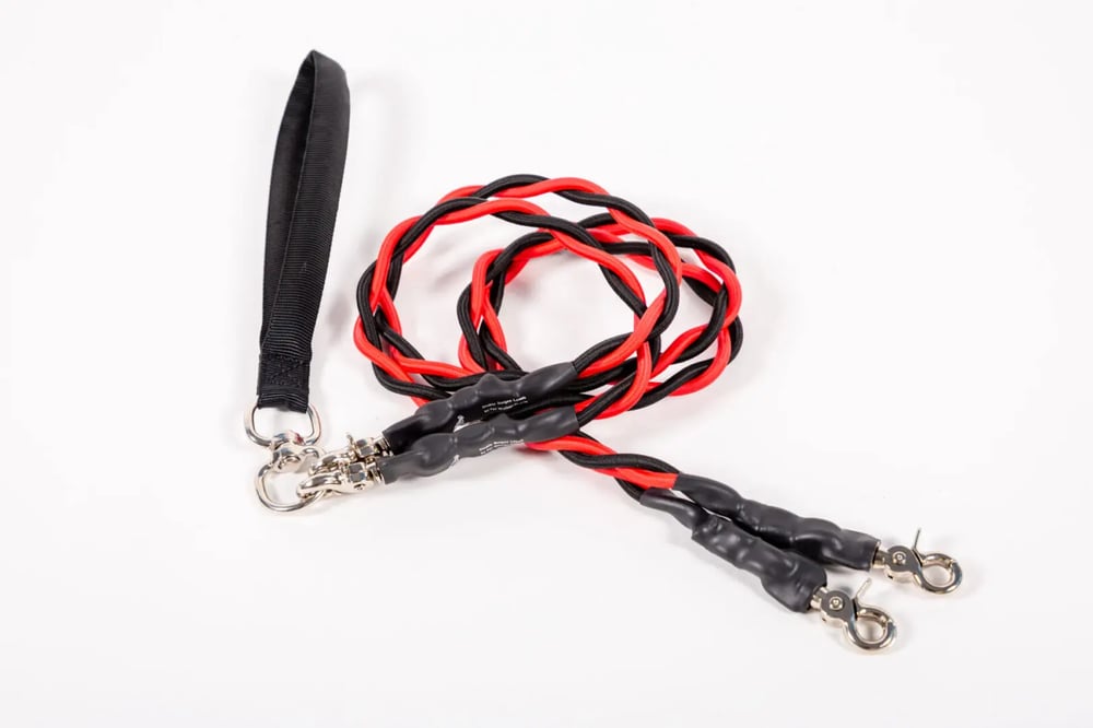 🔥Last Day🔥🐕Double Bungee Leash - 1st step training tool