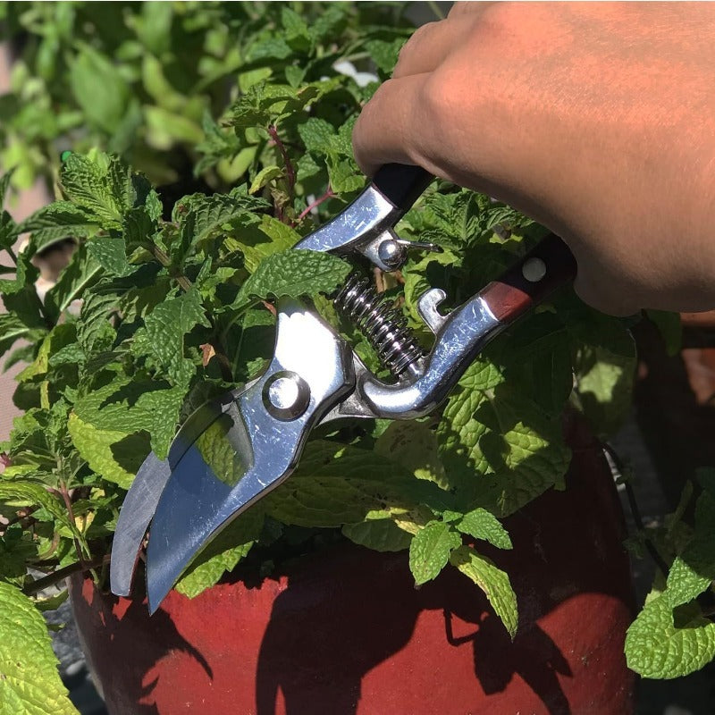 Hand-Forged Multipurpose Garden & Kitchen Shears
