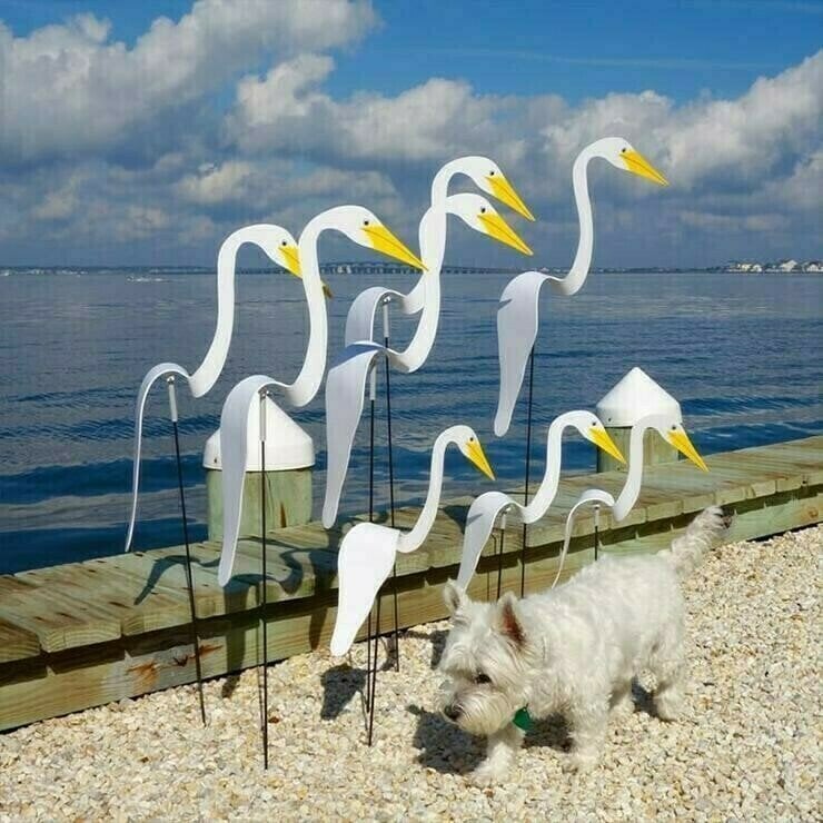 Florida Dancing Flamingo Birds Garden Metal Art