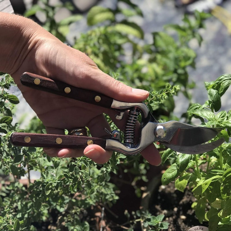 Hand-Forged Multipurpose Garden & Kitchen Shears