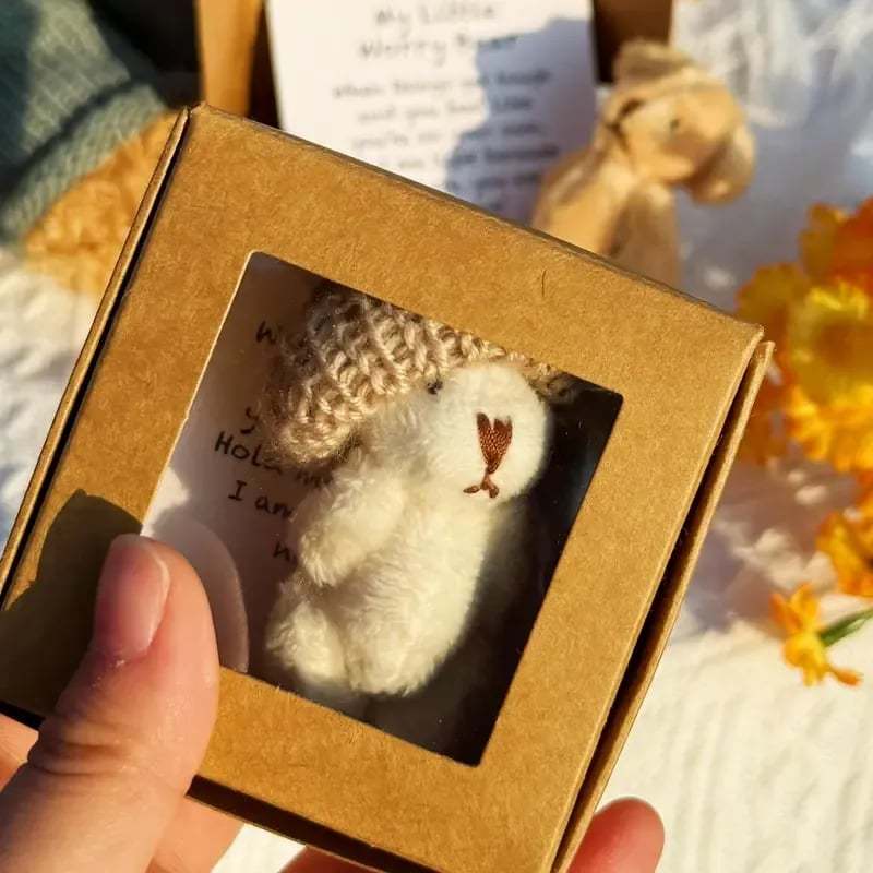 🔥HOT SALE 49% OFF - 🎁Handmade Mini Plush Teddy Bear in Box