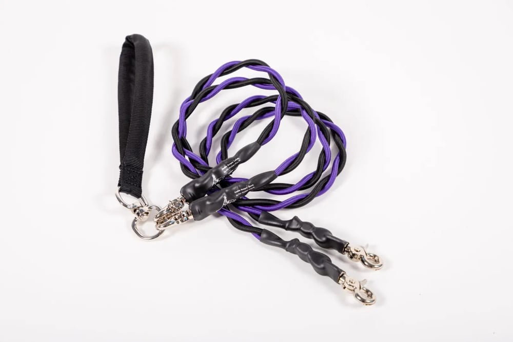 🔥Last Day🔥🐕Double Bungee Leash - 1st step training tool