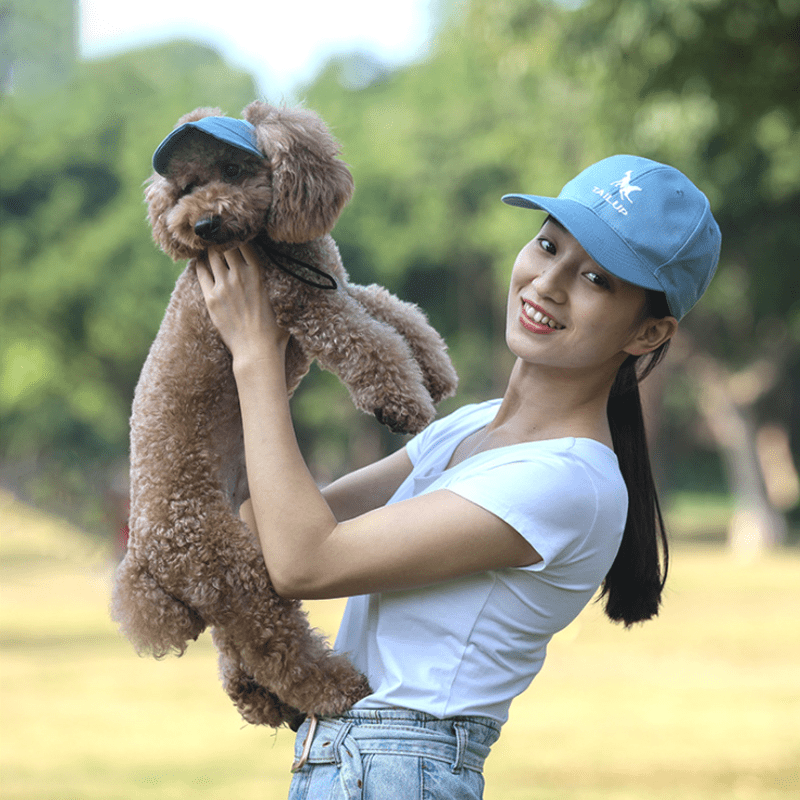 Outdoor Sun Protection Hood For Dogs