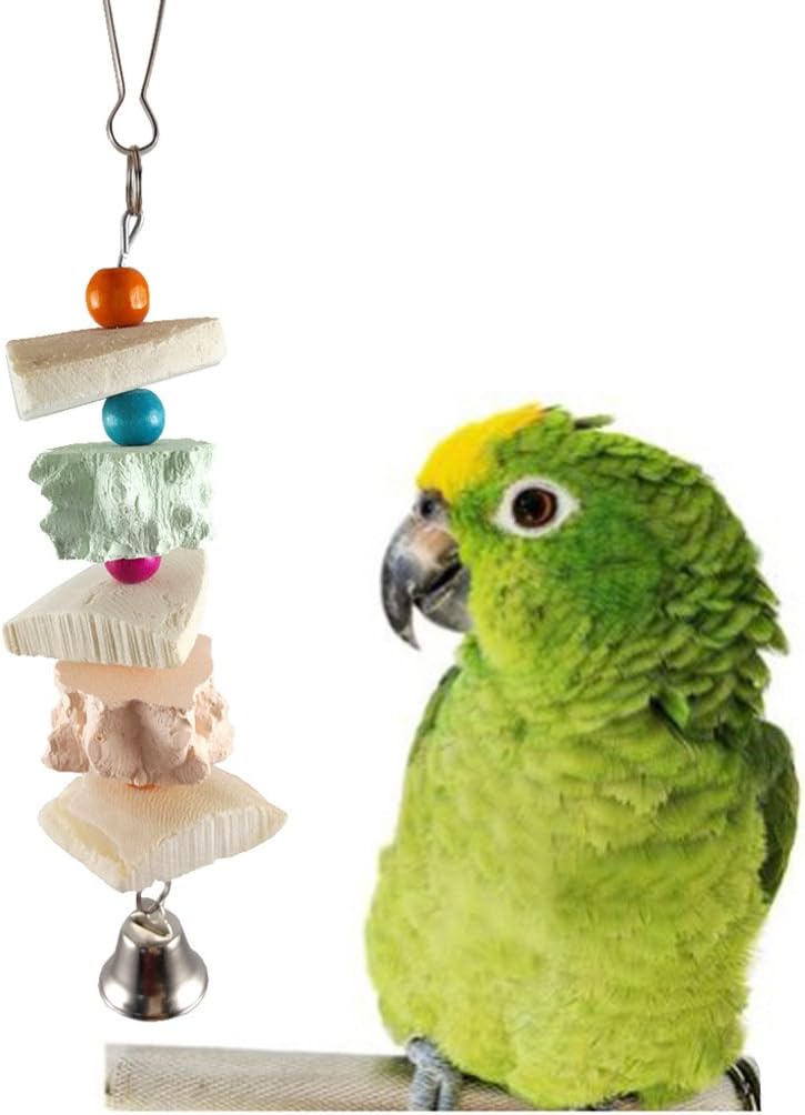 Natural Cuttle-Bone Chew & Bell Toy