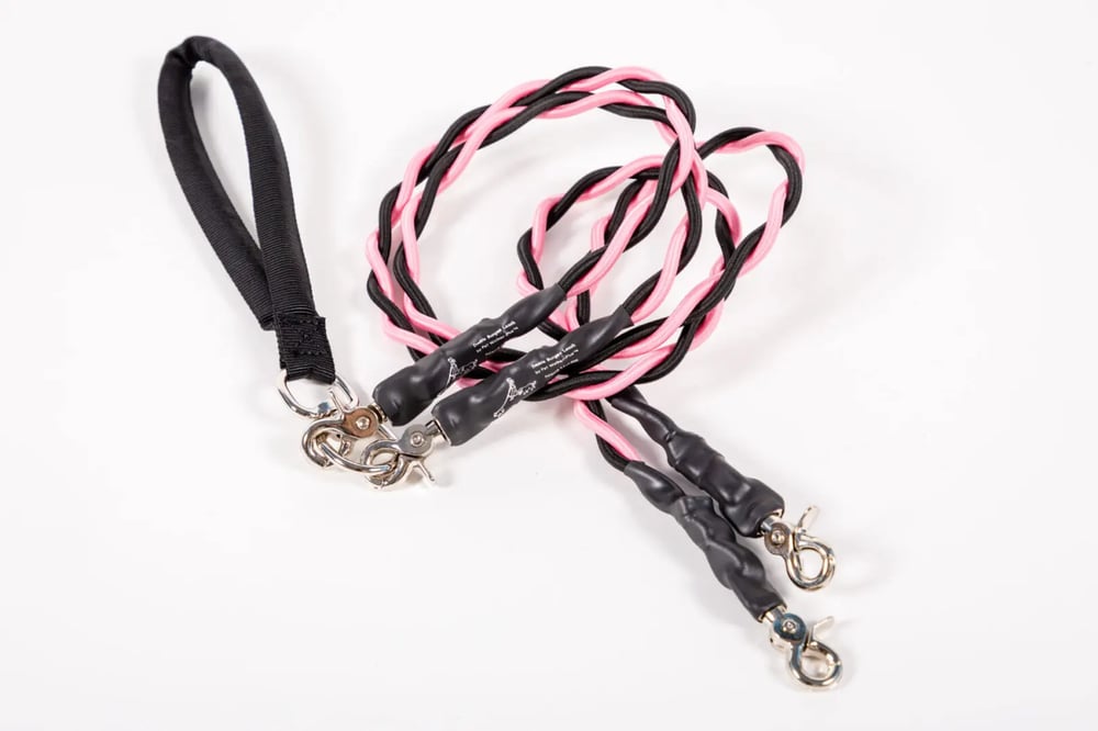 🔥Last Day🔥🐕Double Bungee Leash - 1st step training tool