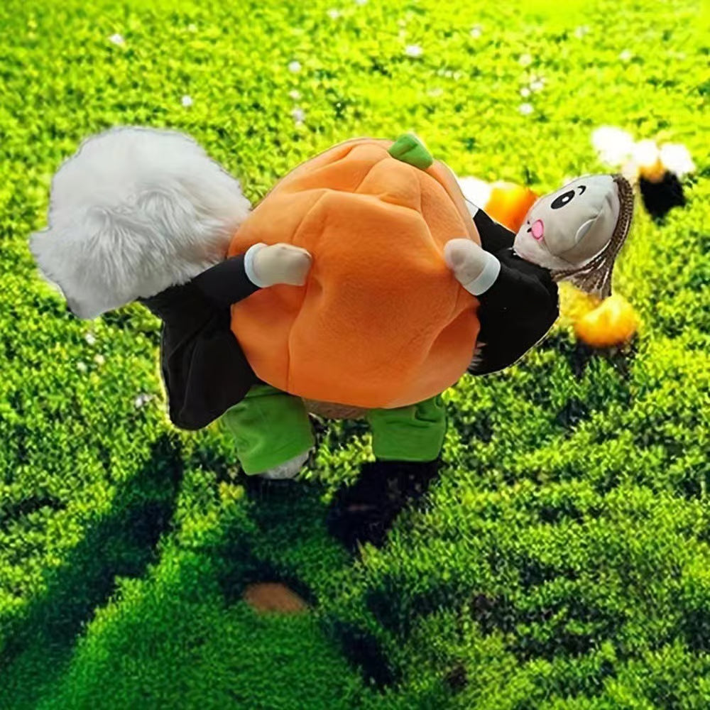 (🎃Early-Halloween Hot Sale-49%OFF) Pet Dog Pumpkin Halloween Costume