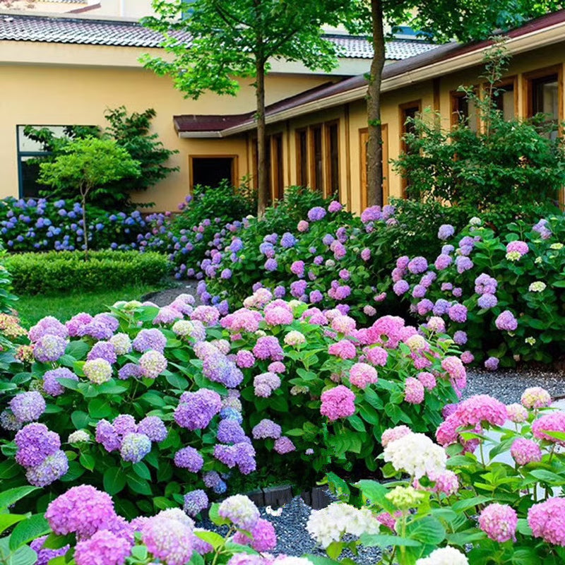 💥Artificial Hydrangea Flowers💐