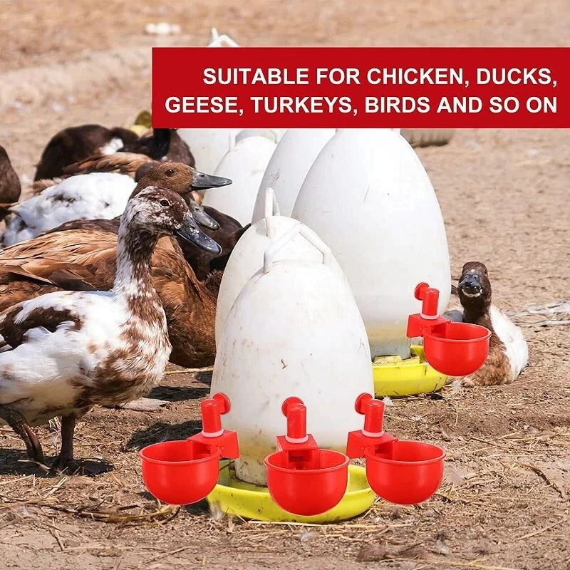 💥Last Day 50% Off--🔥Automatic Chicken Water Cup Bird Coop