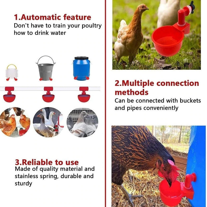 💥Last Day 50% Off--🔥Automatic Chicken Water Cup Bird Coop