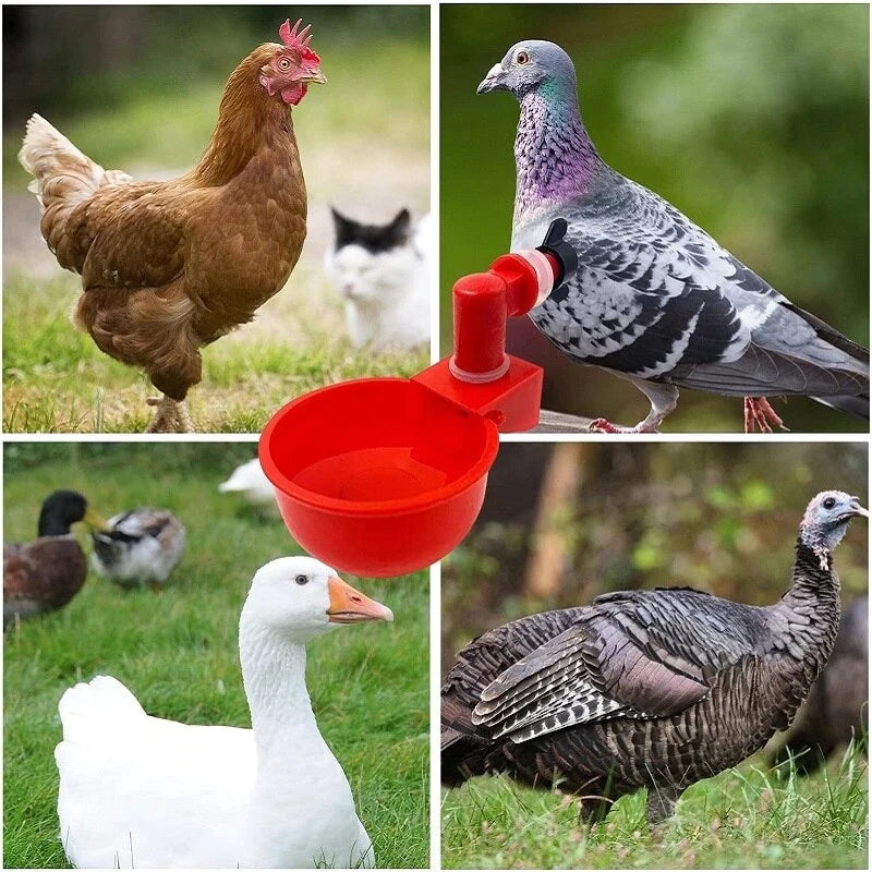 💥Last Day 50% Off--🔥Automatic Chicken Water Cup Bird Coop