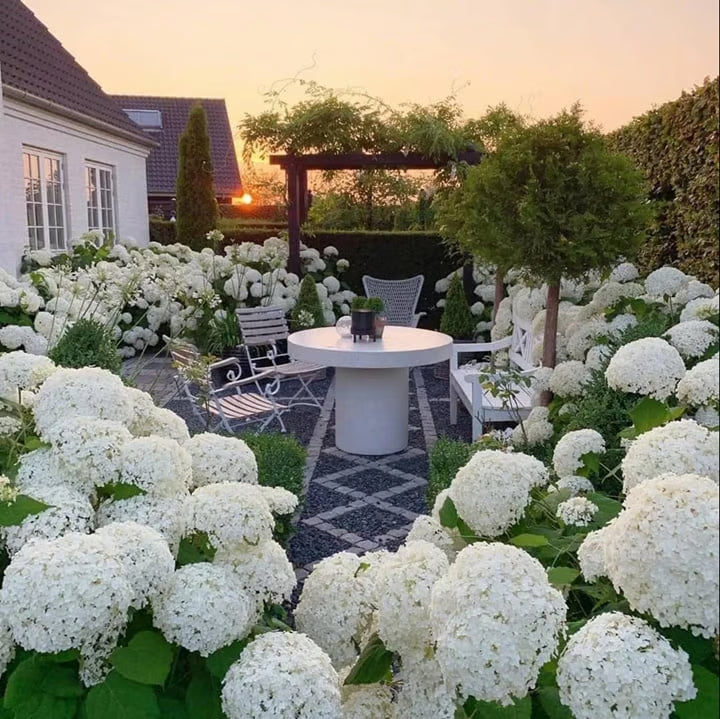 💥Artificial Hydrangea Flowers💐