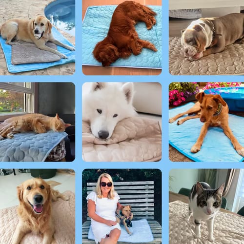 🔥Hot Sale 49% OFF - Dog Cooling Mat (4x more effective)