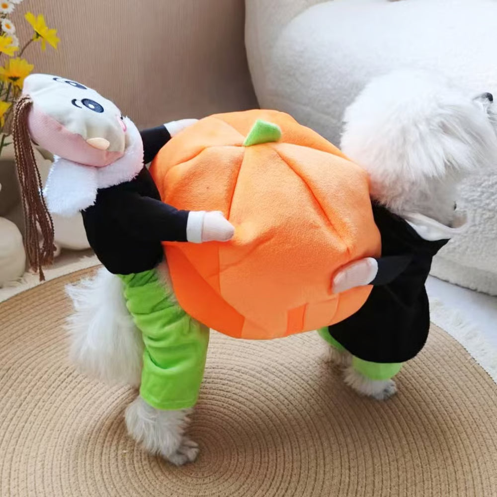 (🎃Early-Halloween Hot Sale-49%OFF) Pet Dog Pumpkin Halloween Costume