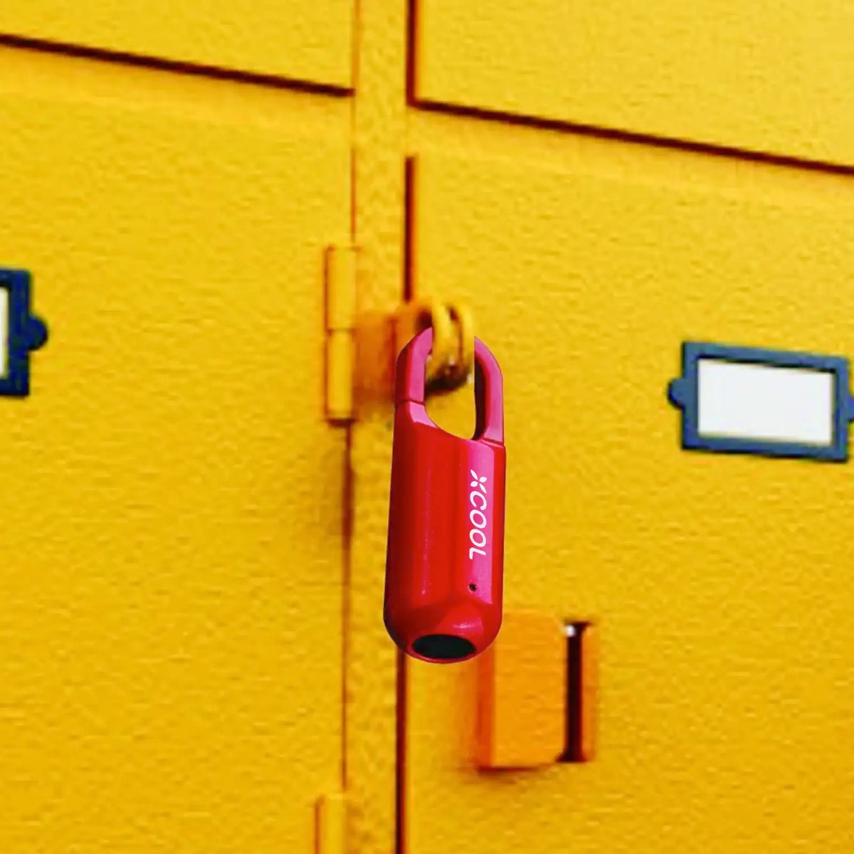 Woyuosn InstaSecure