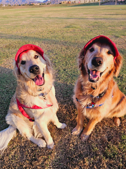 Fashionable Corduroy Dog Hat