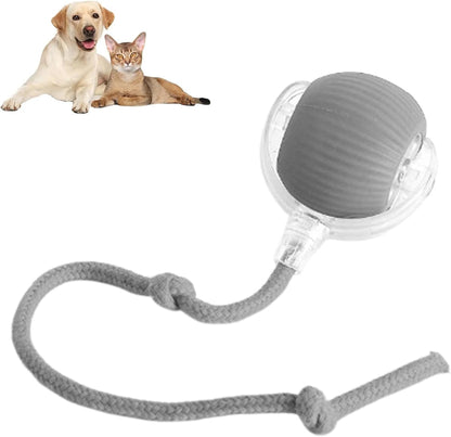 Yopoll interactive pet toy ball
