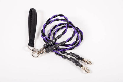 🔥Last Day🔥🐕Double Bungee Leash - 1st step training tool