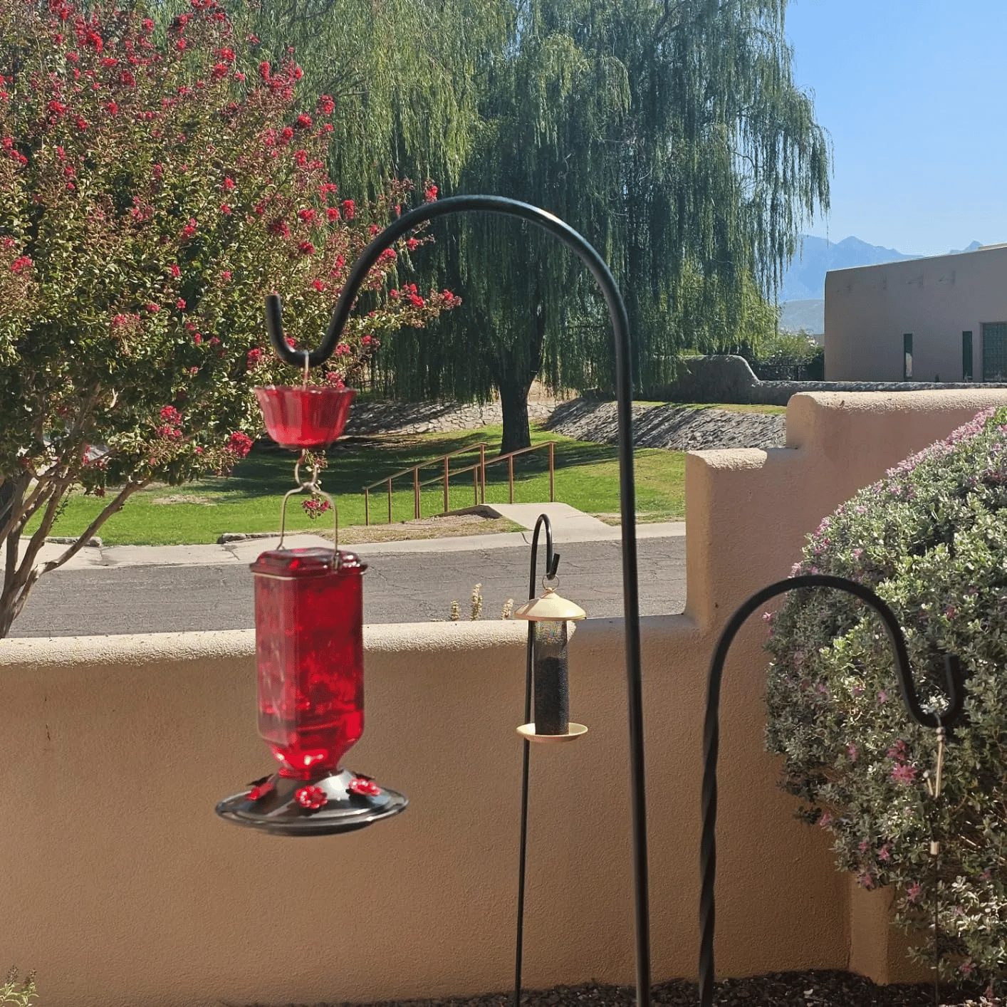 Glass Hummingbird Feeder