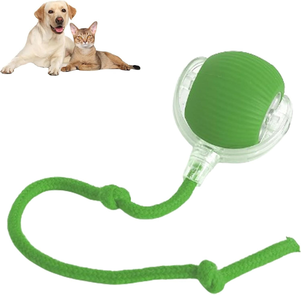 Yopoll interactive pet toy ball