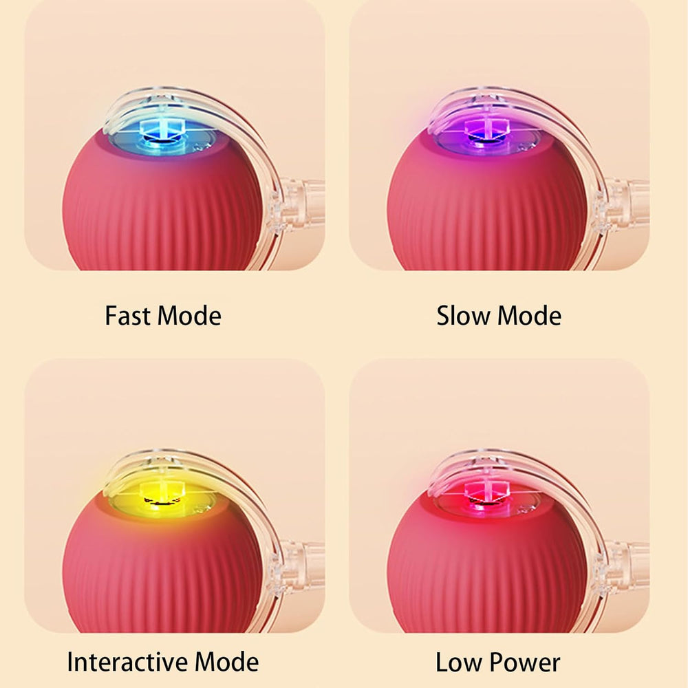 Yopoll interactive pet toy ball