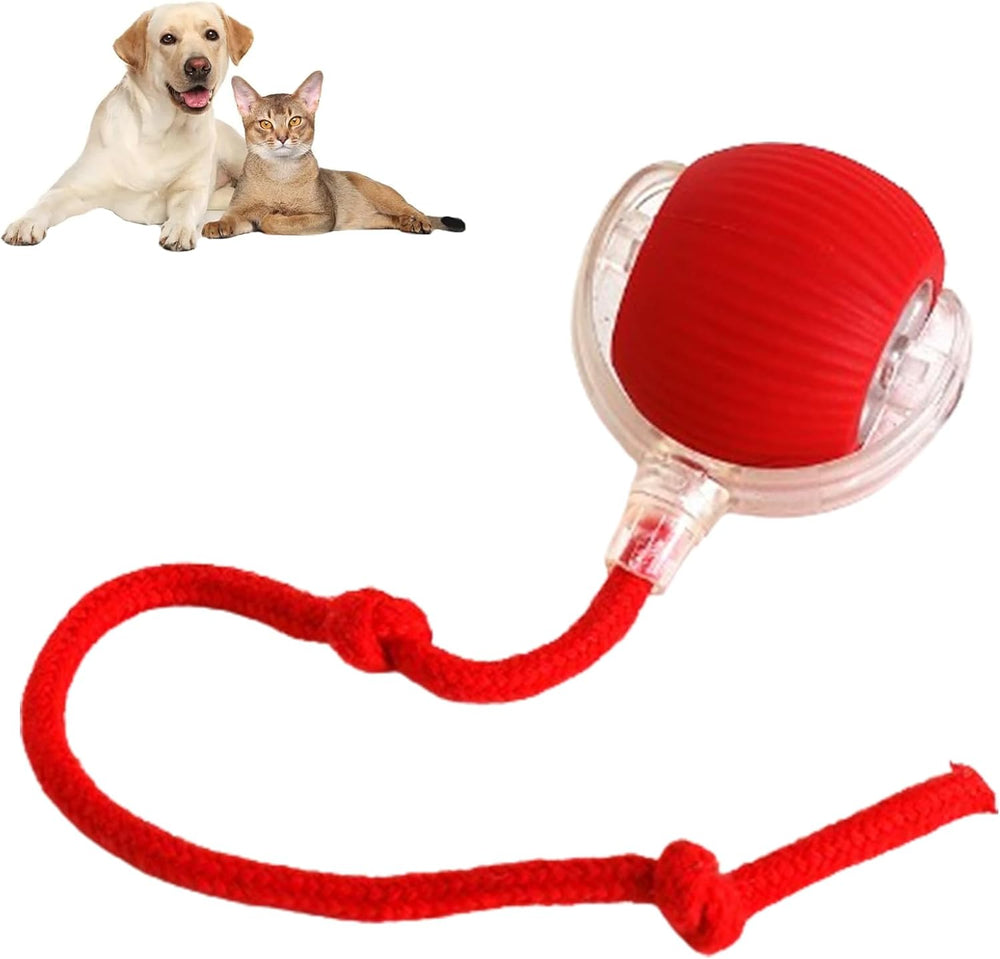 Yopoll interactive pet toy ball