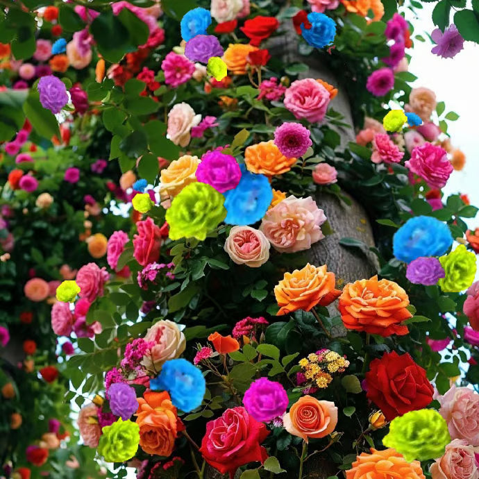 🔥Last day clearance💝Four Seasons Flowering Rose Seeds-Mix about 50-500 kinds
