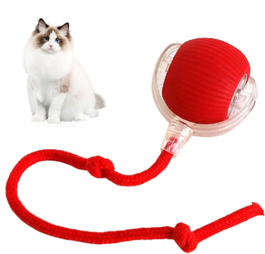 Yopoll interactive pet toy ball