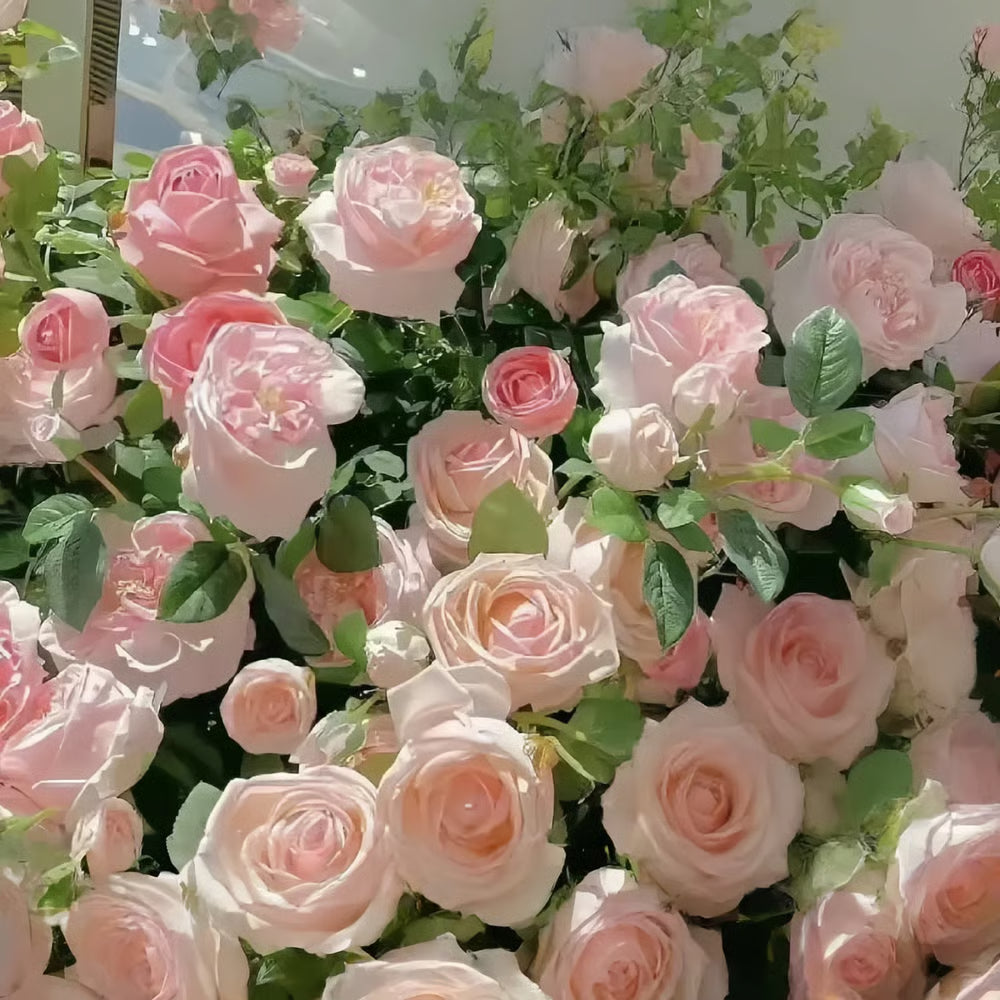 🔥Last day clearance💝Four Seasons Flowering Rose Seeds-Mix about 50-500 kinds