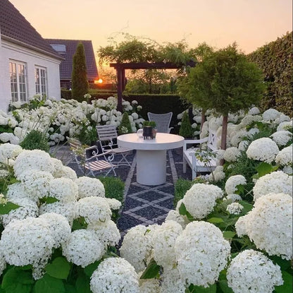 💥Artificial Hydrangea Flowers💐