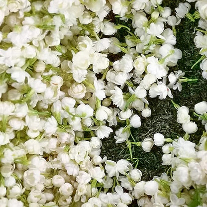 🔥Hot Sale Promotion 49% OFF 🌸 Jasmine Potted Plant