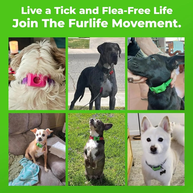 Waterproof Chemical-Free Tick Repellent Tag