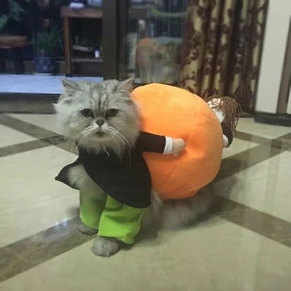 (🎃Early-Halloween Hot Sale-49%OFF) Pet Dog Pumpkin Halloween Costume
