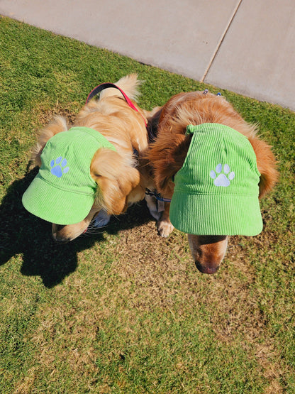 Fashionable Corduroy Dog Hat